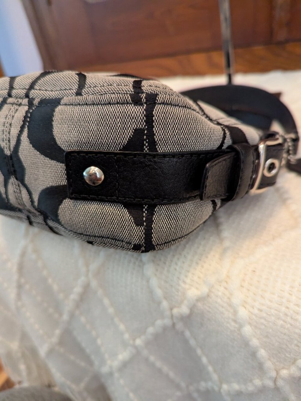 COACH Mini Zoe Hobo Shoulder Bag - Picture 7 of 11